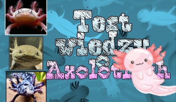 Test wiedzy o axolotlach.