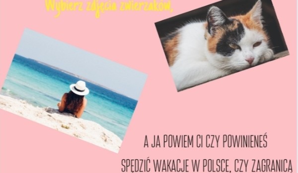 Wybierz zdjęcia zwierzaków, a ja powiem Ci czy powinieneś spędzić wakacje w Polsce, czy za granicą!