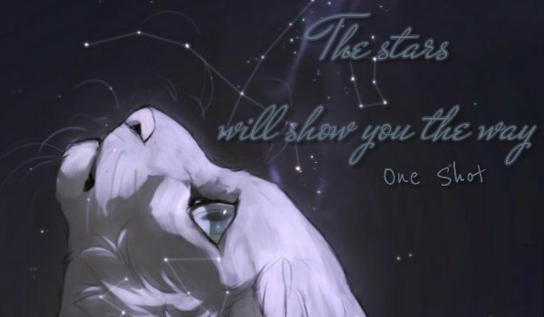 The stars will show you the way • One Shot