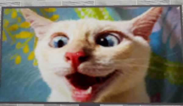 jola ty hypa shydłaś