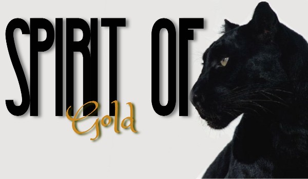 «Spirit of Gold» Zapisy do opowiadania z obserwatorami