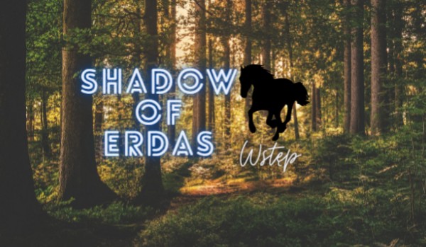 Shadow of Erdas . Wstęp