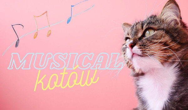 Musical kotów cz. 23
