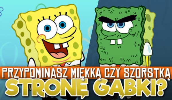 Przypominasz miękką czy szorstką stronę gąbki?