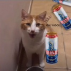 Albedosimplol