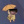 JayWhyPuppy