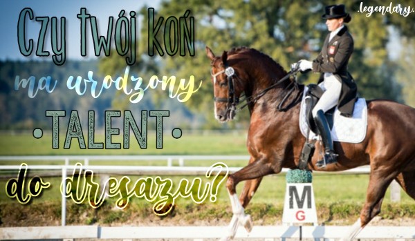 Czy Twój koń ma wrodzony talent do dresażu?