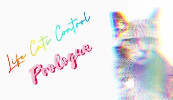 Life Cats Control|Prologue