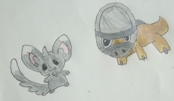 3o dni wojownicy chellange