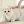Treecat82