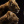 wojownicy_cat_9