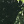 username666