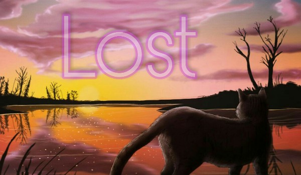 Lost – One Shot