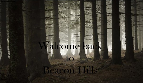 Walcome back to Beacon Hills – Chapter Four