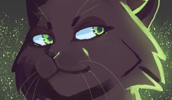 WOJOWNICY test ( stary quiz XD )