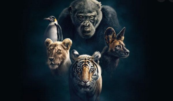 Test o zwierzętach 2