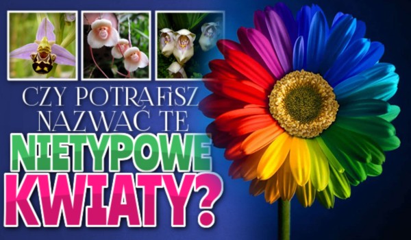 Czy potrafisz nazwać te nietypowe kwiaty?