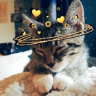 The_Kawaii_Coffe_Cat