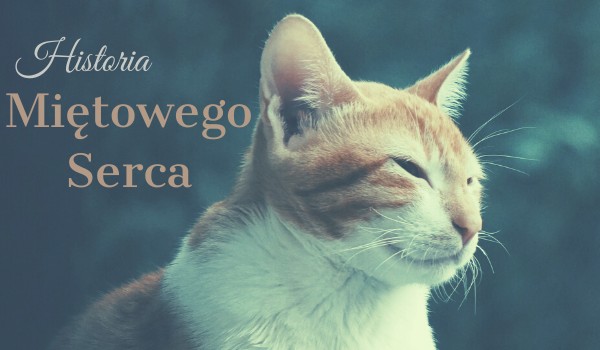 Historia Miętowego Serca #7