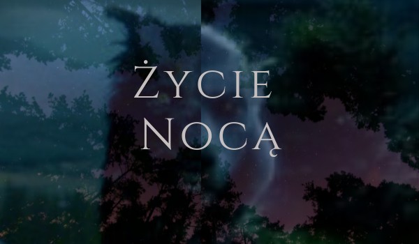 Życie nocą || Prolog #1