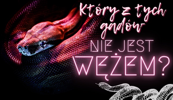 Który z tych gadów nie jest wężem?