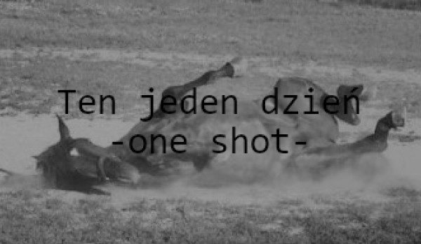Nigdy nie zapomnę-one shot-
