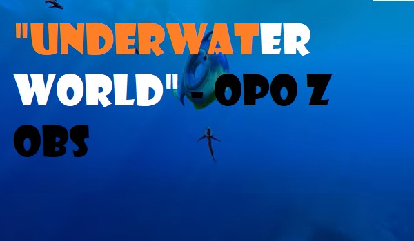 „Underwater world” -opo z obs zapisy {otwarte}