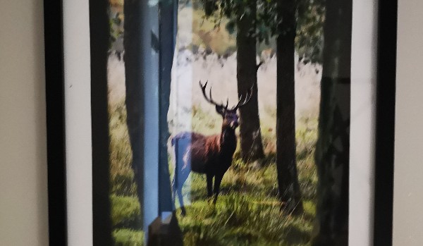 Find the impostora 2