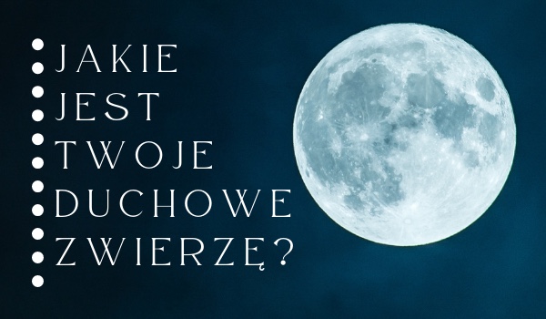 Jakie jest twoje duchowe zwierze?