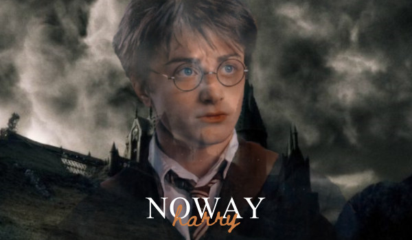No way, Harry – Przedstawienie postaci