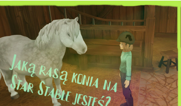 Jaką rasą konia na star stable jesteś?