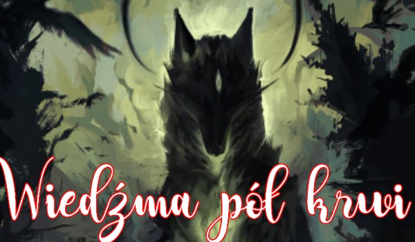 Wiedźma pół krwi #4