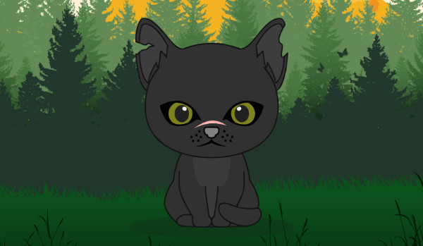 Czy rozpoznasz koty z wojowników w aplikacji Wariors Cats mini maker?