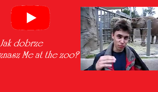 Me at the zoo – Jak dobrze znasz najstarszy film na YouTube?