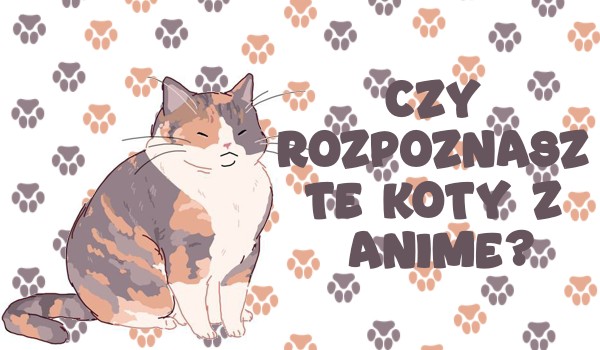Czy rozpoznasz te koty z anime?