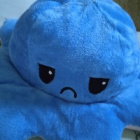 Toca_kot