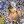 jokubjoestar1