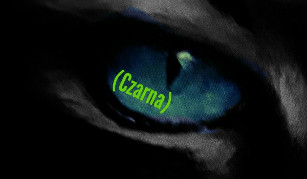 Czarna – rozdział trzeci