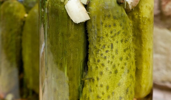 Jakim ogórkiem jesteś