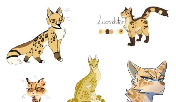 Wywiady i gry z wojownikami, #3