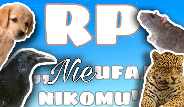 Pierwszy test ~ 3 quiz RP