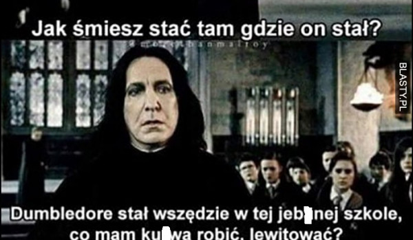 Q&A-Pytania od @gromoptak_newta