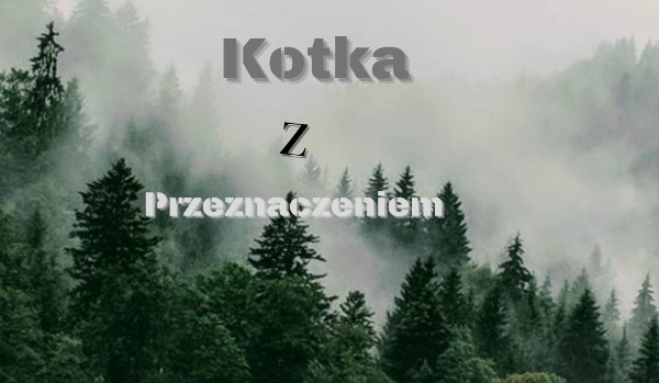 Kotka z przeznaczeniem