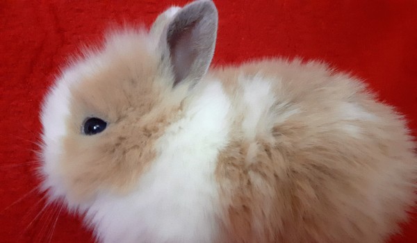 Dom Kolegi cz. 4 Powrót do kolegi