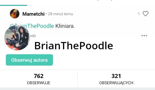 Oceniam profil – @BrainThePoodle