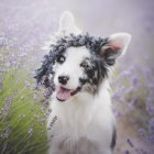 kontozamkniete........