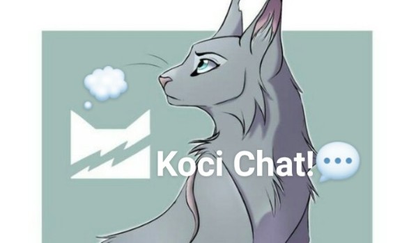 Wojownicy- Koci Chat! #2