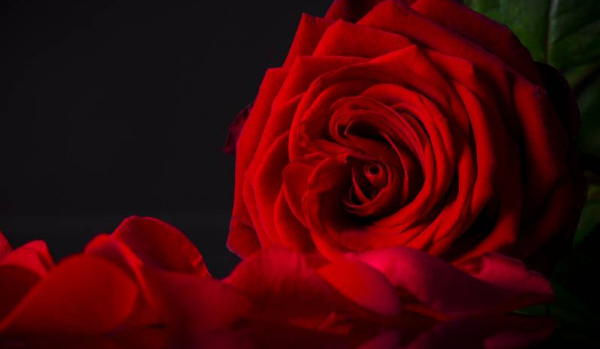 Czy to koniec przyjaźni?