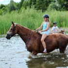 chesnut_rider