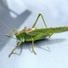 ui81234963208wthfbklvcmj